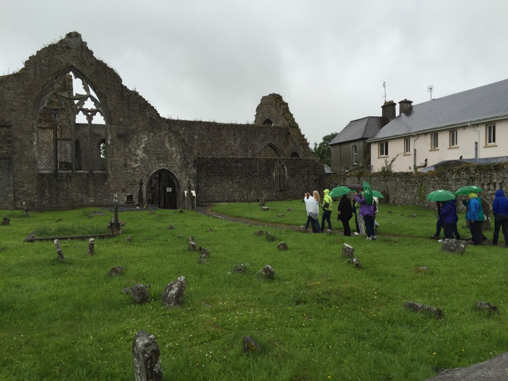 Einmarsch in the Field of Athenry